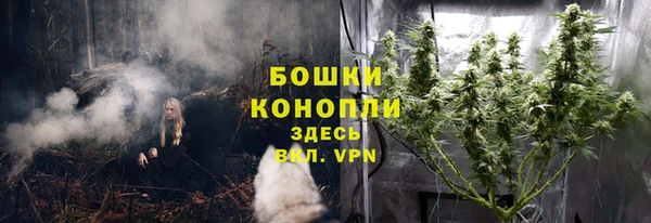 мет Дмитриев