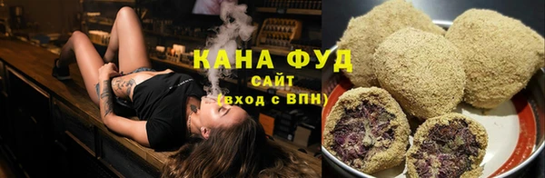 мет Дмитриев
