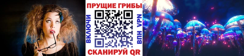 Галлюциногенные грибы Magic Shrooms  Купить закладки  Починок 